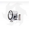 Cylindre et piston pour débroussailleuse STIHL FR 480 / FS 480 (014465BM) STIHL