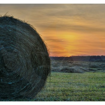 Pair of forks for round bales, tips for hay and straw bales of various sizes + bushings Tractor Accessories