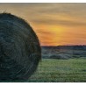 Pair of forks for round bales, tips for hay and straw bales of various sizes + bushings Tractor Accessories