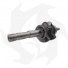 Albero motore DP100 Crankshaft