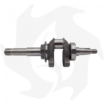 Albero motore DP100 Crankshaft