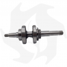 Albero motore DP100 Crankshaft