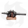 Albero motore DP100 Crankshaft