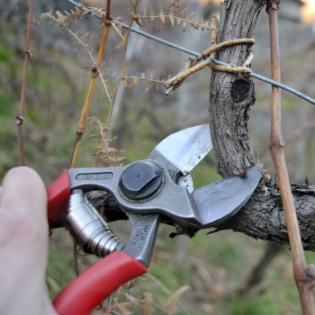 Falket 2209 Maxi double-edged professional scissors with offset fulcrum Double edged hot forged pruning shears