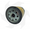 Lombardini engine oil filter 2175.036 Oil filter