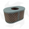 Original air filter for lawn mower with Vanguard engine 797033 797378 Air - diesel filter