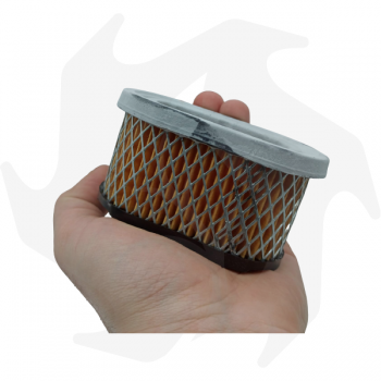 Air filter for Briggs & Stratton Quantum 5 HP engines Air - diesel filter