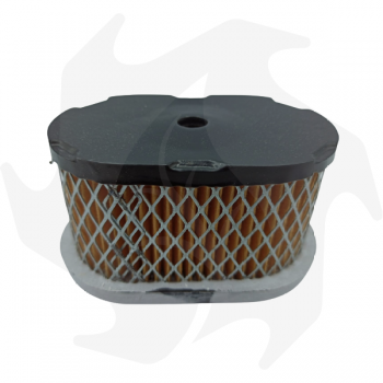 Air filter for Briggs & Stratton Quantum 5 HP engines Air - diesel filter