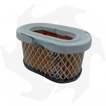 Air filter for Briggs & Stratton Quantum 5 HP engines Air - diesel filter