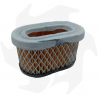 Air filter for Briggs & Stratton Quantum 5 HP engines Air - diesel filter