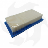 Air filter for Briggs & Stratton Vanguard 9 HP engines Air - diesel filter