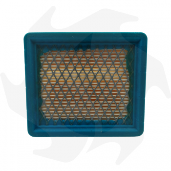 Air filter for Aspera VLV VICTOR 5 HP SINERGY 55 engine Air - diesel filter