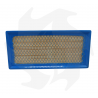 Air filter for Briggs & Stratton Vanguard 9 - 11 - 13 HP engines Air - diesel filter