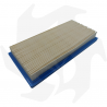 Air filter for Briggs & Stratton Vanguard 9 - 11 - 13 HP engines Air - diesel filter