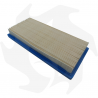 Filtro dell' aria per motori Briggs & Stratton Vanguard 9 - 11 - 13 HP Filtro aria - gasolio