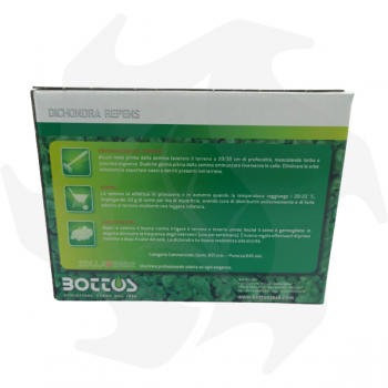 Dichondra Repens Bottos - 500 g Dichondra repens semillas cubresuelos para alfombras gruesas de bajo mantenimiento Semillas d...