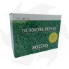 Dichondra Repens Bottos - 500 g Dichondra repens semillas cubresuelos para alfombras gruesas de bajo mantenimiento Semillas d...