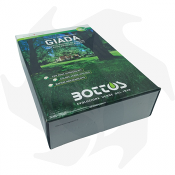 Giada Bottos - 1Kg Advanced Seeds pour pelouse ombragée graines