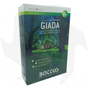 Giada Bottos - 1Kg Advanced Seeds pour pelouse ombragée graines