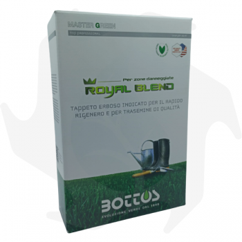 Royal Blend Bottos - 1Kg Graines professionnelles pour re-semer de précieuses pelouses vert foncé. graines