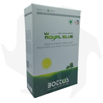 Royal Blue Bottos - 1Kg Sementi professionali per prato verde scuro resistene alle malattie e alla siccitá Sementi per prato