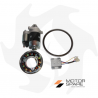 Kit avviamento elettrico motorino + alternatore + regolatore + corona per motore Yanmar Kama Vulcan Zanetti Replacement parts...