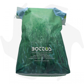 Maciste Bottos - 5Kg Samen für Rasen Rasensamen