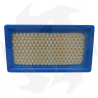 Filtro dell' aria per motore Briggs & Stratton Vanguard 4 HP Air - diesel filter