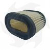 Filtro dell' aria per motore Centura 55 65 Air - diesel filter