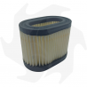 Filtro dell' aria per motore Centura 55 65 Air - diesel filter