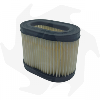 Filtro dell' aria per motore Centura 55 65 Air - diesel filter