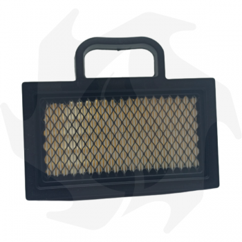 Filtro dell' aria per motore Briggs & Stratton 12 18 24 HP Air - diesel filter