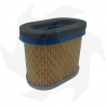 Filtro dell' aria per motore Toro serie Intek Air - diesel filter