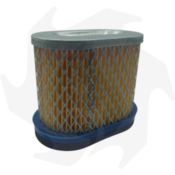 Filtro dell' aria per motore Toro serie Intek Air - diesel filter