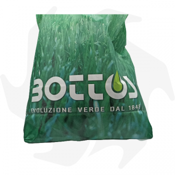 Giada Bottos - 5Kg Sementi evolute per prato ombreggiato Sementi per prato