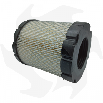 Filtro de aire para motor serie Briggs & Stratton 44P977 49M977 Filtro de aire - diésel