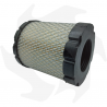 Filtro de aire para motor serie Briggs & Stratton 44P977 49M977 Filtro de aire - diésel