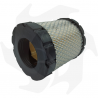 Filtro de aire para motor serie Briggs & Stratton 44P977 49M977 Filtro de aire - diésel