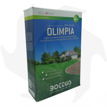 Olimpia Bottos - 1Kg Advanced seeds pour pelouse résistant à peu d'entretien même à mi-ombre graines