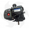 Moteur Briggs & Stratton 450E OHV 4 HP pour tondeuse à gazon avec arbre cylindrique 22,2x60 mm Moteur à essence