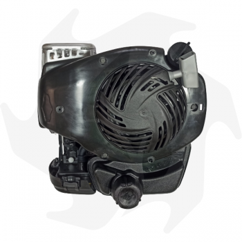 Moteur Briggs & Stratton 450E OHV 4 HP pour tondeuse à gazon avec arbre cylindrique 22,2x60 mm Moteur à essence