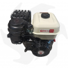 Zanetti 420cc ZBM420 L3EV motor de gasolina arranque eléctrico eje cilíndrico de 25,4 mm Motor de gasolina