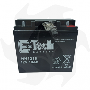 Tashima 12V 18Ah battery for lawn tractor 12V batteries