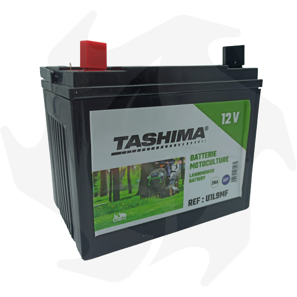 Batterie Tashima 12V 9A pour tracteur tondeuse Castelgarden-Flymo-R