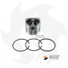 Piston + jeu de segments ad. moteur Lombardini 6LD400 D:86.50 mm Pièces détachées moteur Lombardini