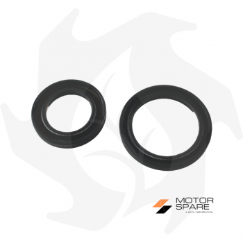 Complete set of gaskets and oil seals for Ruggerini RD RF80 RF81 MC70 MC71 ADN37 engine Seals