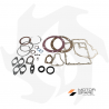 Complete set of gaskets and oil seals for Ruggerini RD RF80 RF81 MC70 MC71 ADN37 engine Seals