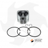 Kit cylindre + piston + jeu de segments adaptable au moteur Standard Lombardini 6LD400 Pièces détachées moteur Lombardini