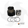 Kit cylindre + piston + jeu de segments adaptable au moteur Standard Lombardini 6LD400 Pièces détachées moteur Lombardini