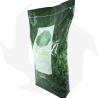 Country Emeraldgreen - 10 Kg Graines tannées pour un gazon vert foncé, dense et résistant graines